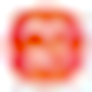 The Privacy Advocate (dt.gl)