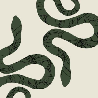 tickfoot