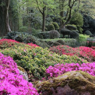 Histoire Orsay-Saclay