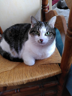 Marc