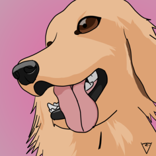 dog with a blog
