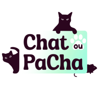 Chat ou PaCha
