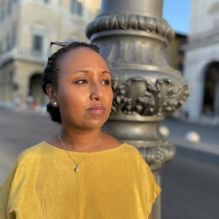 Awet Tesfaiesus, MdB