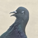 derek志豪