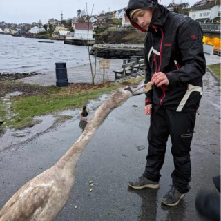 Odd Eirik Nes