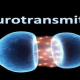 Neurotransmitter