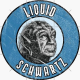 The Liquid Schwartz