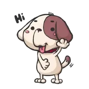 Koko San