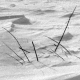 Torf und Schnee