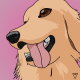 dog with a blog