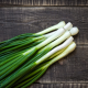 springonion
