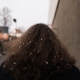 Martin Wenisch