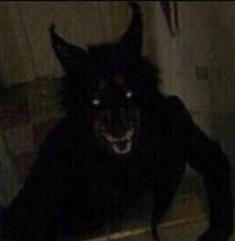 ⛧𝔉𝔞𝔫𝔤𝔶𝔶⛧