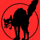 dunklecat