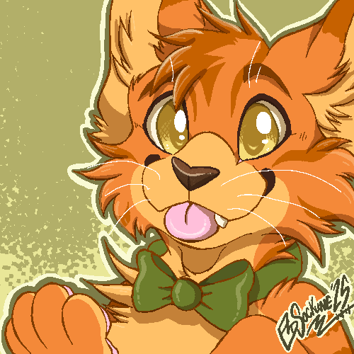 garfieldairlines.net