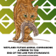 felis_catus_domesticus