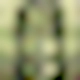 Vegard