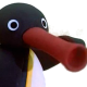 noots