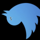 Twitter Death Cult
