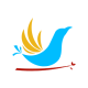Association Libre en Communs