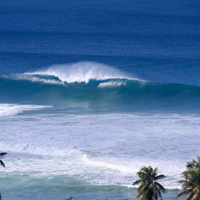 The Islander