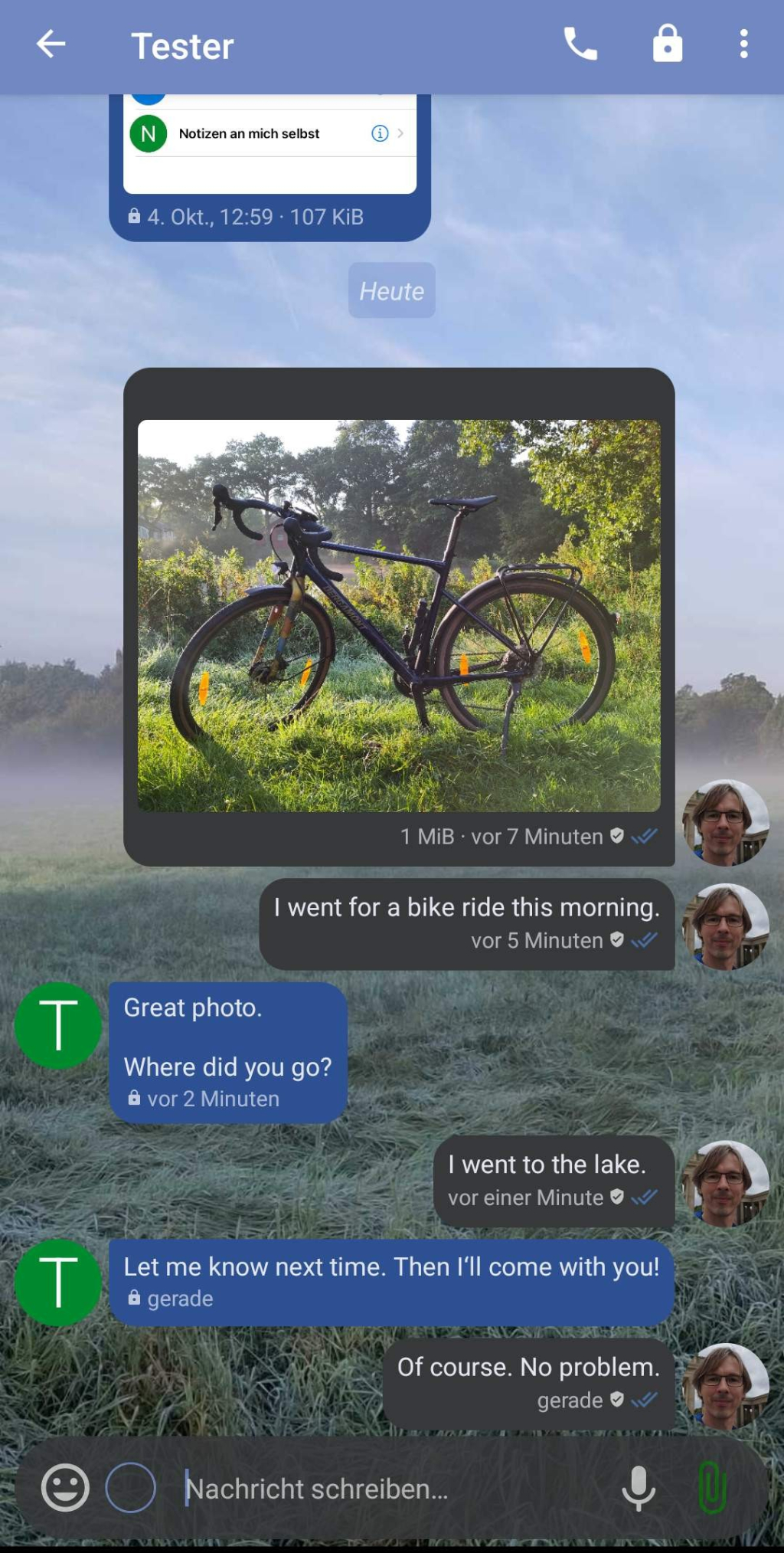 A screenshot of the chat view of monocles chat 1.7.5.
A custom background showing a meadow in the morning is used in the chat view. One user sent a picture of a gravel bike.
The chat dialog is:
User A: "I went for a bike ride this morning."
User B: "Great photo. Where did you go?"
User A: "I went to the lake."
User B: "Let me know next time. Then I'LL come with you."
User A: "Of course. No problem."

The newly designed input line of monocles chat is shown at the bottom of the screen. From left to right it contains a emoji icon, an empty field where threads can be chosen, the text input field, a microphone icon and a paper clip icon for attachments.