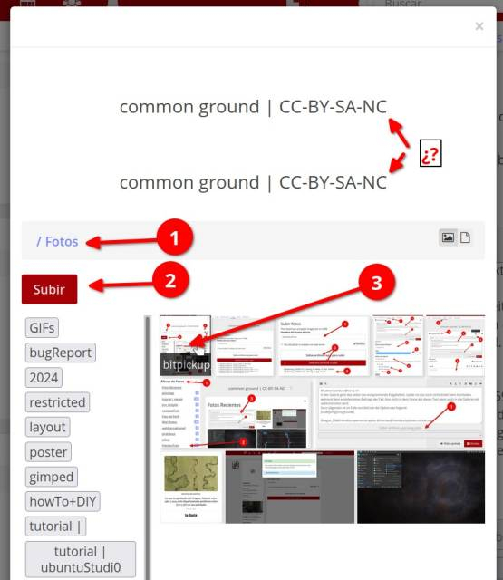 Bildschirmfoto das einen Zwischenschritt beim hochladen von Bildern zeigt.
