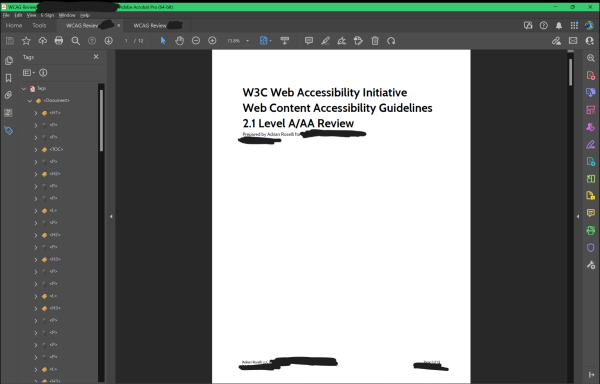 A tagged PDF as seen in Adobe Acrobat Pro showing all tags in place.