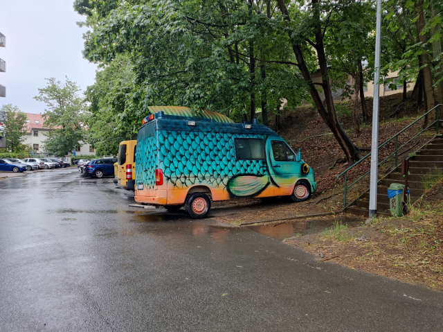 A van with a detailed fish paint job and modding. It even has a dorsal fin on the roof.