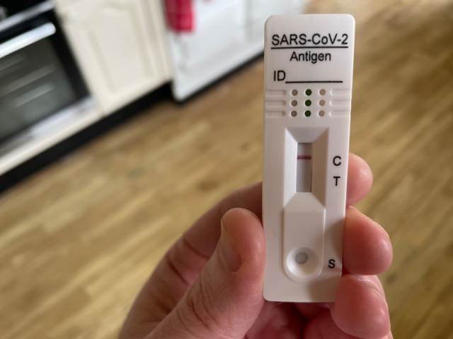 Photo of my hand holding up a COVID antigen test with just the control line showing. In the background, our kitchen, out of focus.