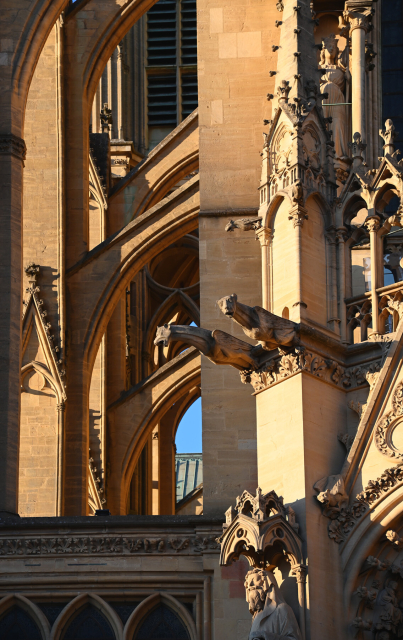 fantastic gargoyles and gothic structures at sunset
