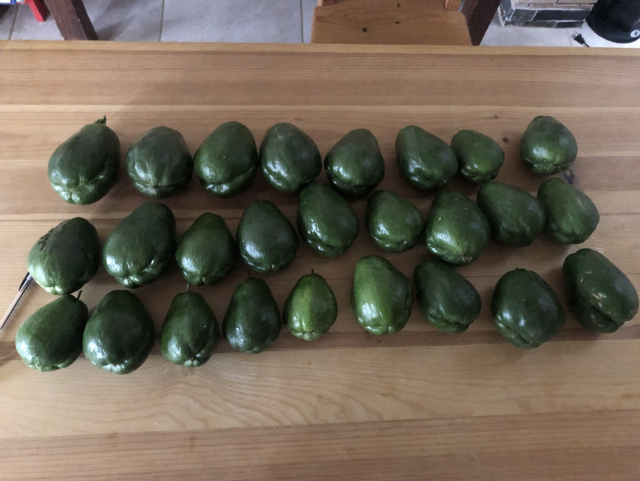 26 chayotes grandes sin espinas, recién cortados