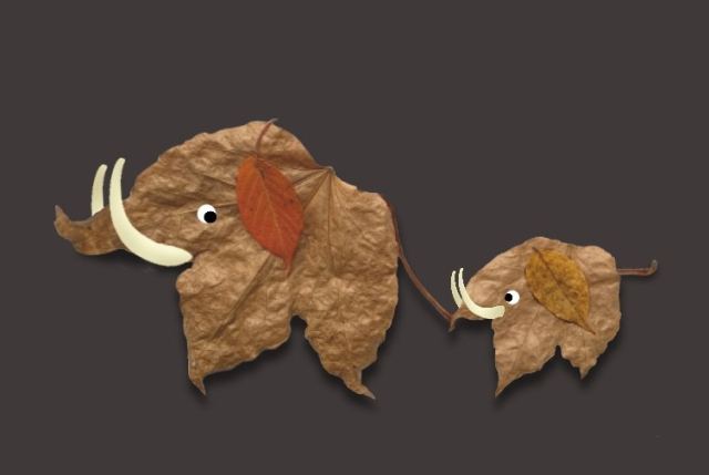 Fotomontage mit Zeichnung. Zu sehen sind zwei aus Herbstlaub zusammengesetzte Mastodone. Das kleine hält sich mit dem Rüssel am Schwanz des großen fest.
