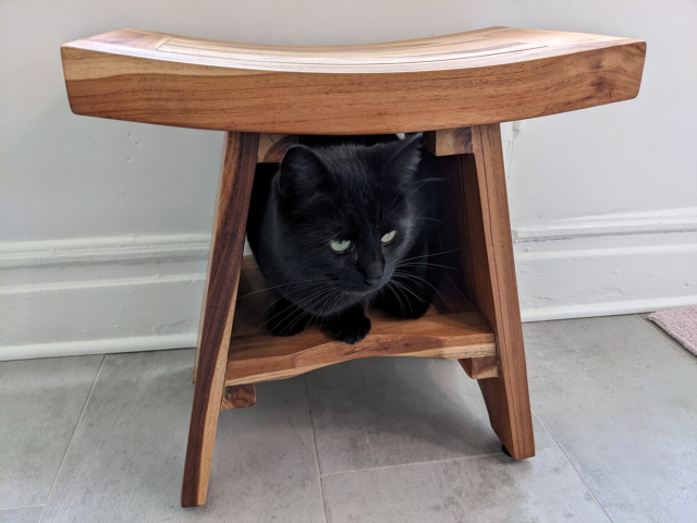 Black cat tightly squeezed himself into a wooden bench's underneath storage shelf 