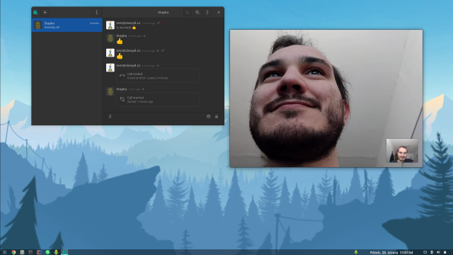 Desktop screenshot with running video call in Dino xmpp client