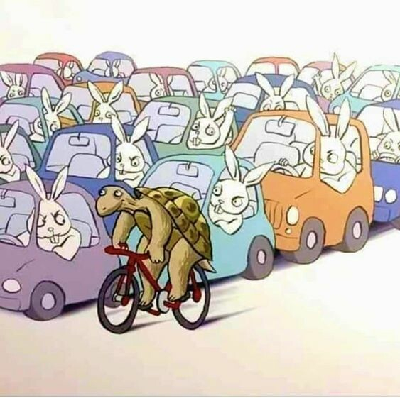 Cartoon illustration of a traffic jam, all de angry looking drivers are hares (rabbits) glaring at a happy looking tortoise passing them all while riding on its red pushbike. 