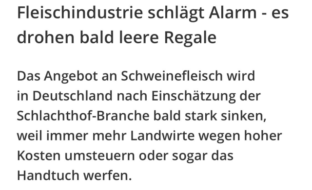 Fleischindustrie schlägt Alarm - es drohen bald leere Regale
Das Angebot an Schweinefleisch wird in Deutschland nach Einschätzung der Schlachthof-Branche bald stark sinken, weil immer mehr Landwirte wegen hoher Kosten umsteuern oder sogar das Handtuch werfen.