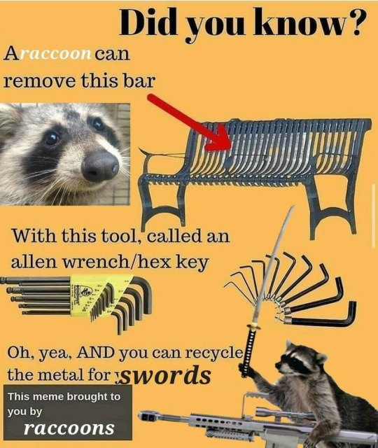 did you know?
a raccoon can remove this bar (anti-homeless bar on public benches)
with this tool called an allen wrench/hex key
oh yea, AND you can recycle the metal for swords
this meme brought to you by raccoons