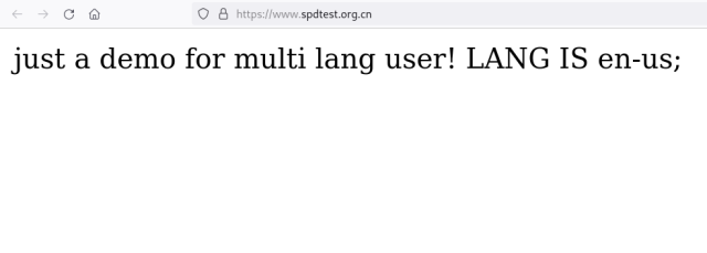 Firefox web browser showing the website: https://www.spdtest.org.cn/

It returns an empty web page with a single sentence:

just a demo for multi lang user! LANG IS en-us;