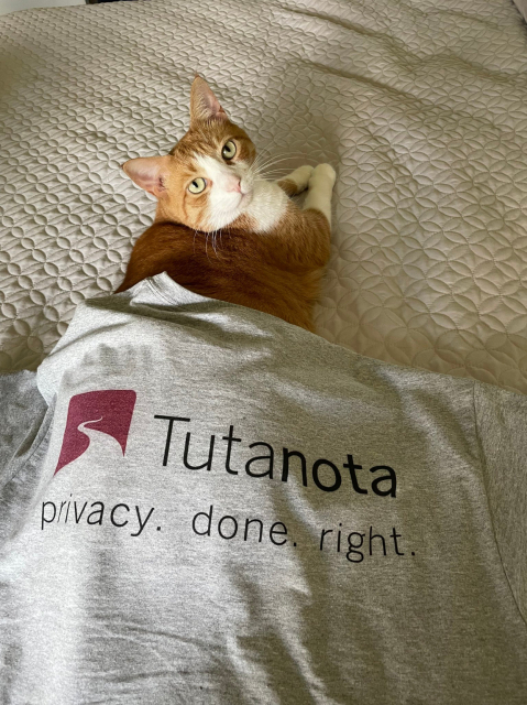 A cat hiding underneath a Tutanota merch shirt.
