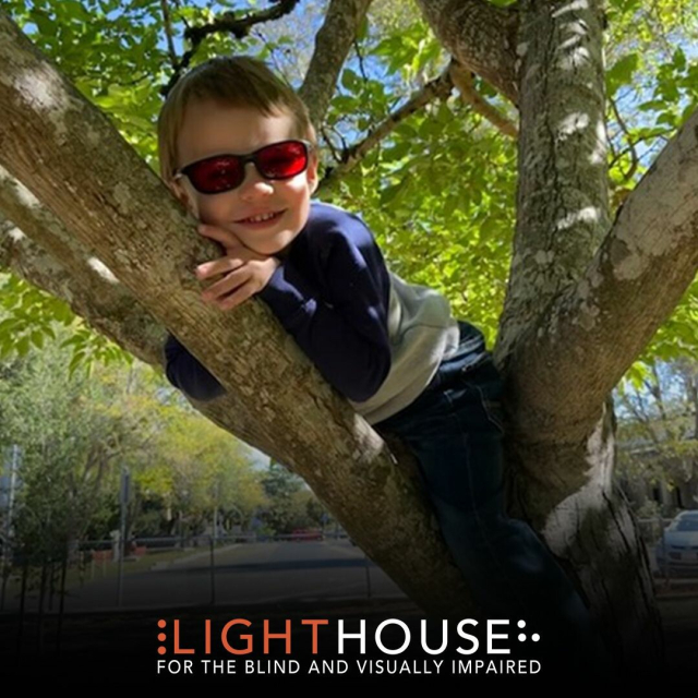 Little Learner climbs a tree and has a big smile on his face