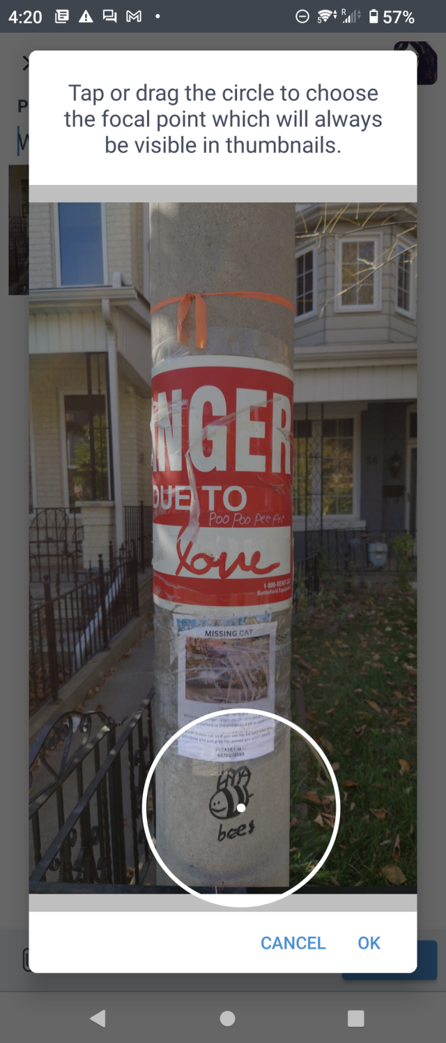 Focus point dialog showing a photo of a lightpole. The focus is on a graffiti tag saying "bees".