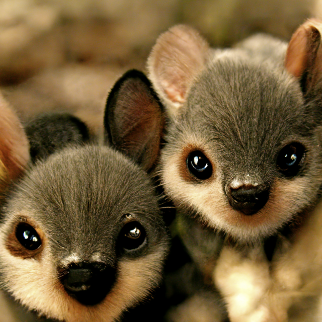 Two cute little mammals, generated by the Midjourney AI.