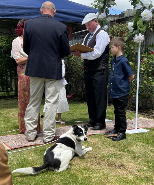 Rear view of a couple as a wedding celebrant reads their marriage vows from a folder, beside a small neatly dressed boy. A black and white dog behind them has deposited a stick on the feet of the small boy, and is puzzled as to why the wedding has not been adjourned so aforementioned stick can be thrown for it. 