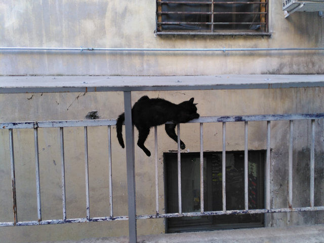 A black cat lying on top of a railing.