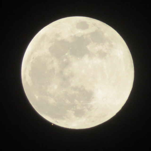 The full moon. To its lower left, nearly occluded by the moon, is a tiny red dot; that’s Mars.