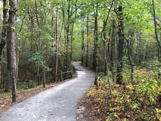 A curved gravel path leads into a deep wood.
