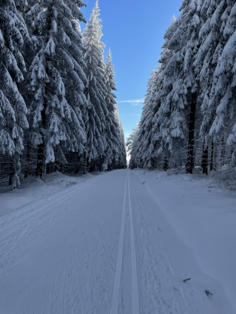 Cross country ski path