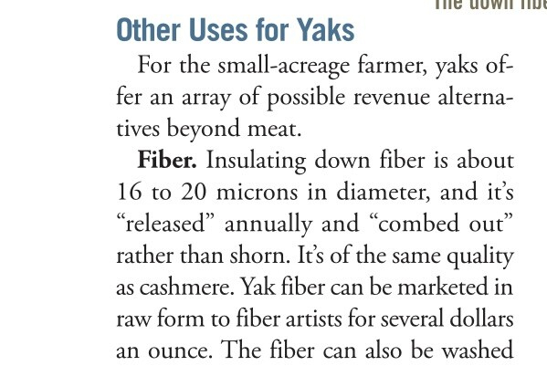Screen shot of a magazine article that reads: Other uses for Yaks:  For the small-acreage farmer, yaks offer an array of possible revenue alternatives beyond meat.  
FIBER: Insulating down fiber is about 16 to 20 microns in diameter, and it's "released" annually and "combed out" rather than short.  It's of the same quality as cashmere.  Yak fiber can be marketed in raw form to fiber artists for several dollars an ounce. The fiber can be washed... (end of screenshot)