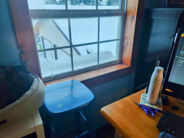 office view of snow-covered garage, cat and computer in periphery.